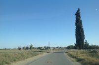 Προσκύνημα στις Eκκλησίες του κάμπου της Μεσαορίας