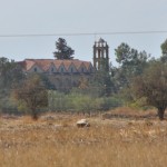 Ιερός Ναός Αγίου Γεωργίου (Βώνης)