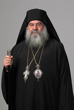 Μητροπολίτης Λεμεσού