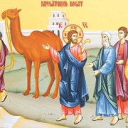 Ιερά Αρχιεπισκοπή Κύπρου: Λειτουργίες – Κηρύγματα 24-30 Νοεμβρίου 2022