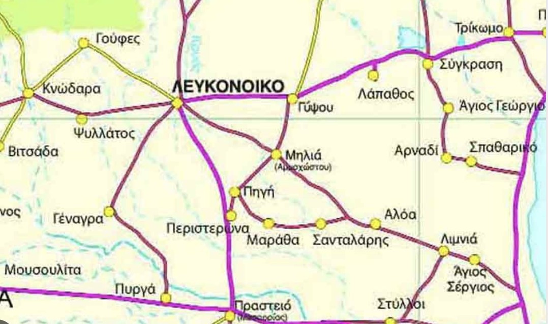 Η ίδρυση της «Χωρικής Τράπεζας Λευκονοίκου» και το καταστατικό της