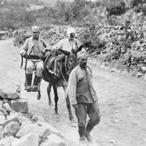 Ημιονηγός μεταφέρει τραυματίες, στο Μακεδονικό Μέτωπο (1916). Illustrated London News, 149/4043 (14/10/1916).